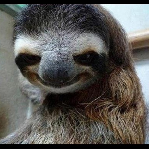 Meet your Posher, Kristen - Picture 1 of 1